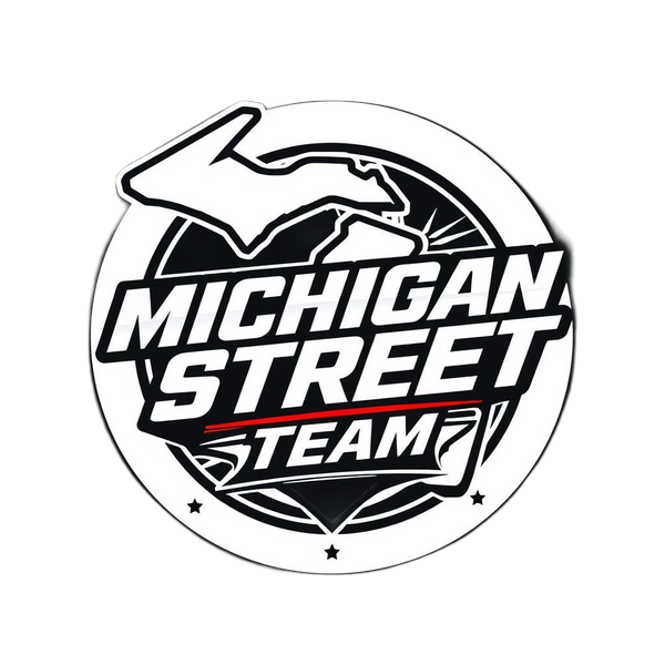 MICHIGAN TAKEOVERS